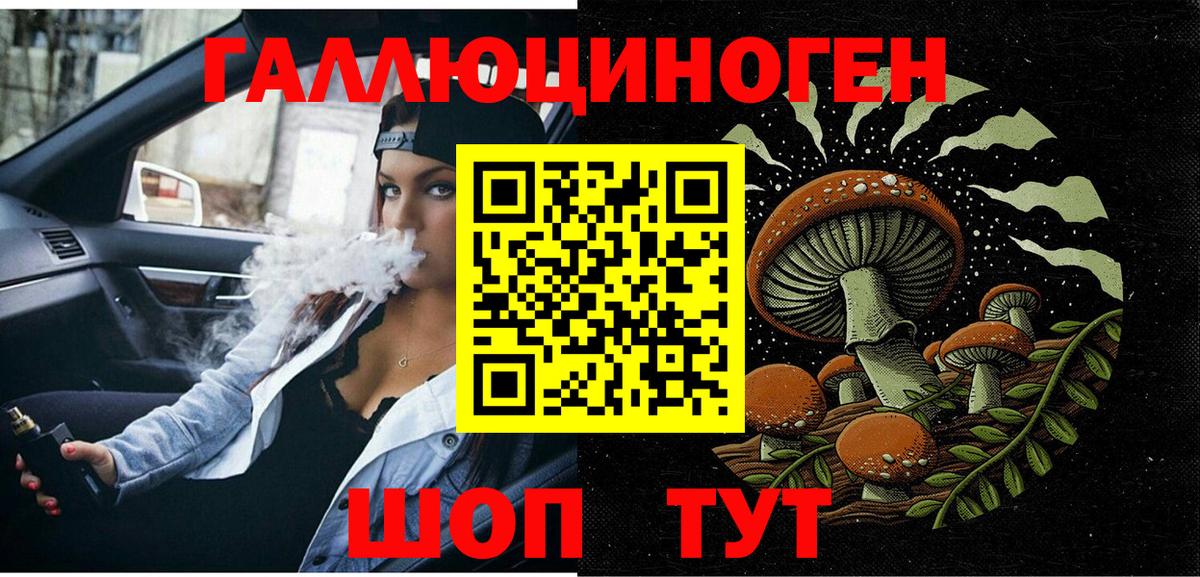 Псилоцибиновые грибы Psilocybe Сергиев Посад